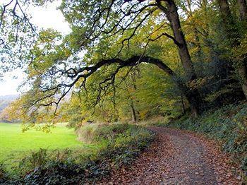 Отель Bridge House Gunnislake Экстерьер фото