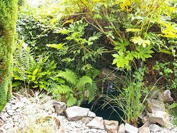 Отель Bridge House Gunnislake Экстерьер фото